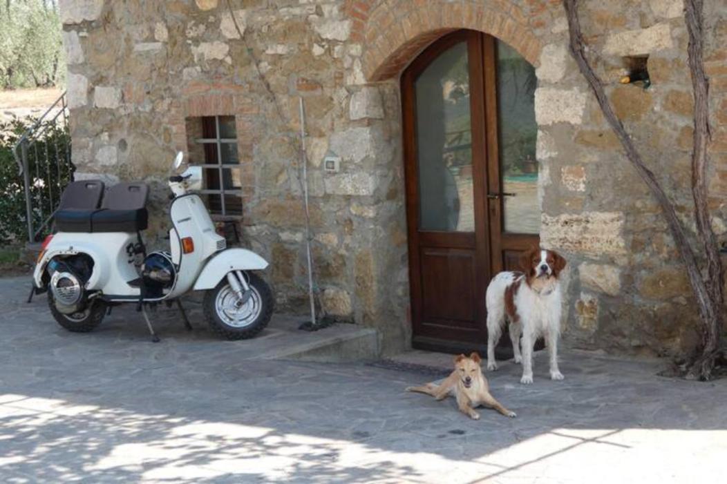 Farm stay Il Granaio Della Fonte Castiglione d'Orcia