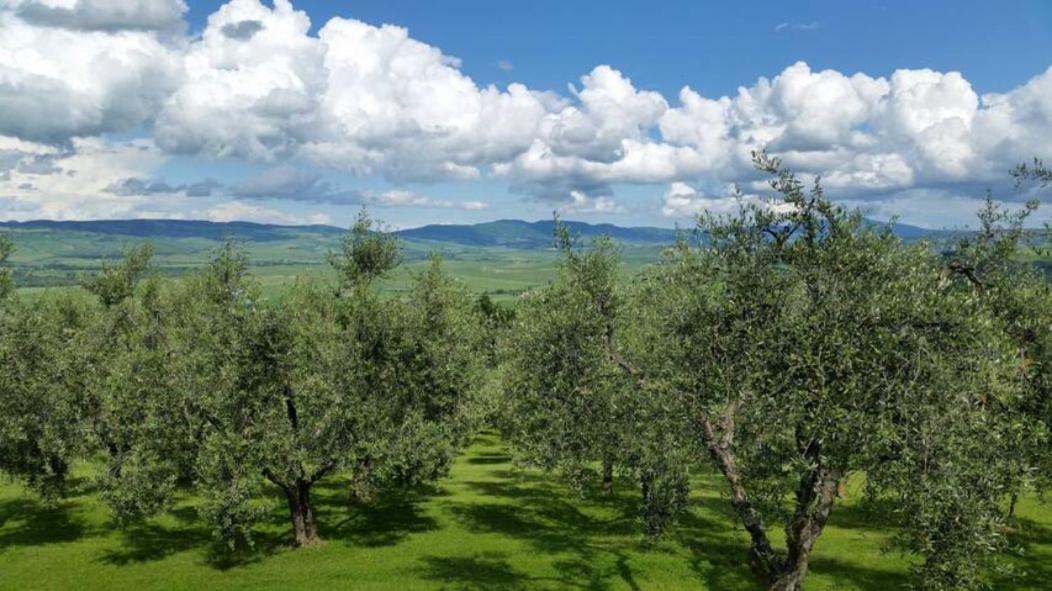 Farm stay Il Granaio Della Fonte *